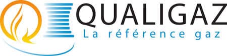 agency-qualifications